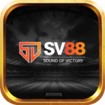 6.sv88-150x150