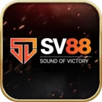 sv88-150x150