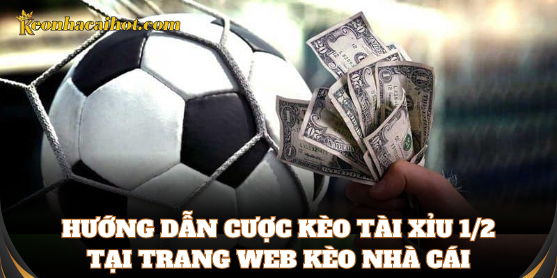 Cách chơi kèo Tài Xỉu 1/2 chuẩn xác nhất