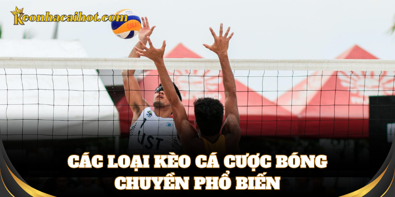 Các loại kèo cược phổ biến trong cá cược bóng chuyền