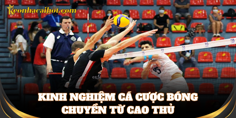 Kinh nghiệm chọn kèo bóng chuyền hiệu quả từ cao thủ