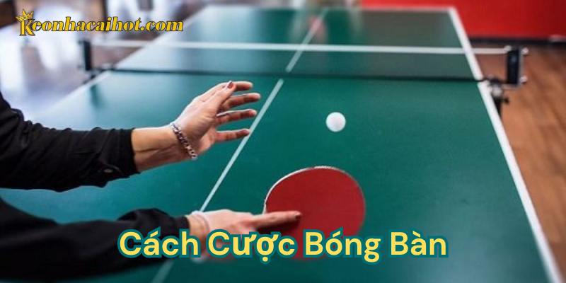 5 kèo cơ bản trong cách cược bóng bàn