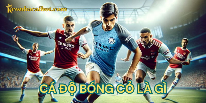 Cá độ bóng cỏ là gì - những rủi ro cần tránh