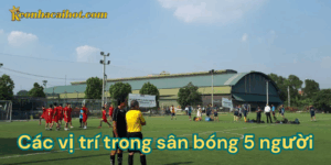 Các vị trí trong sân bóng 5 người kèo nhà cái