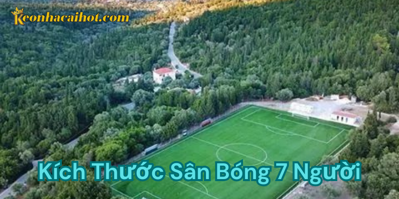 Các vị trí trọng yếu trên sân 7 người