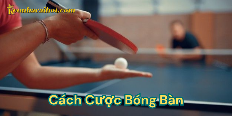 Cách cược bóng bàn - Giải thích ý nghĩa
