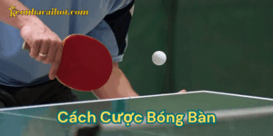 Cách cược bóng bàn - Kèo nhà cái