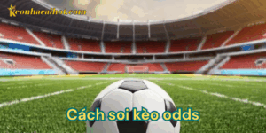Cách soi kèo odds - kèo nhà cái