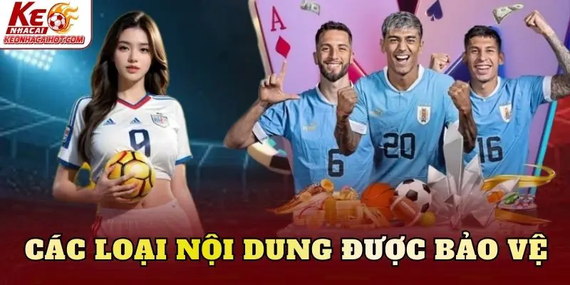 Các loại nội dung được bảo vệ