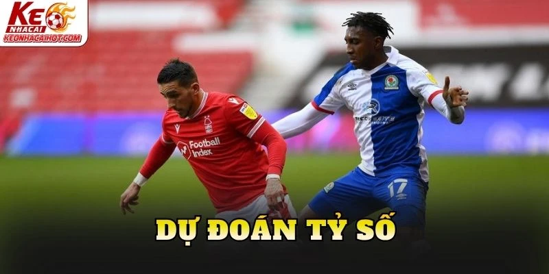 Dự đoán tỷ số