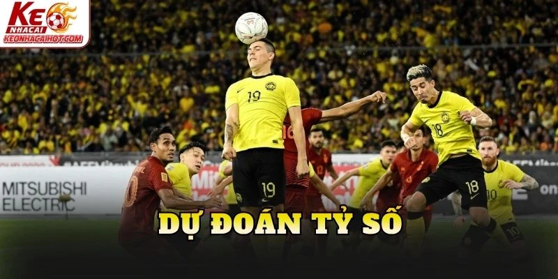 Dự đoán tỷ số