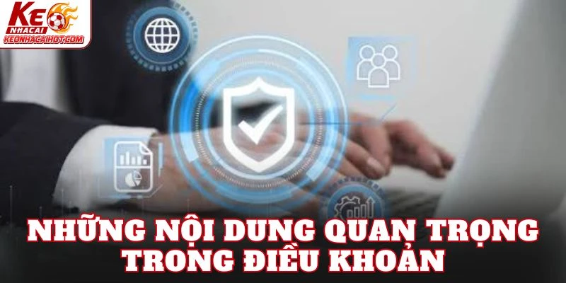 Những nội dung quan trọng trong điều khoản