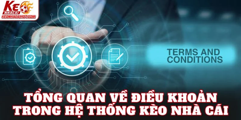 Tổng quan về điều khoản trong hệ thống kèo nhà cái
